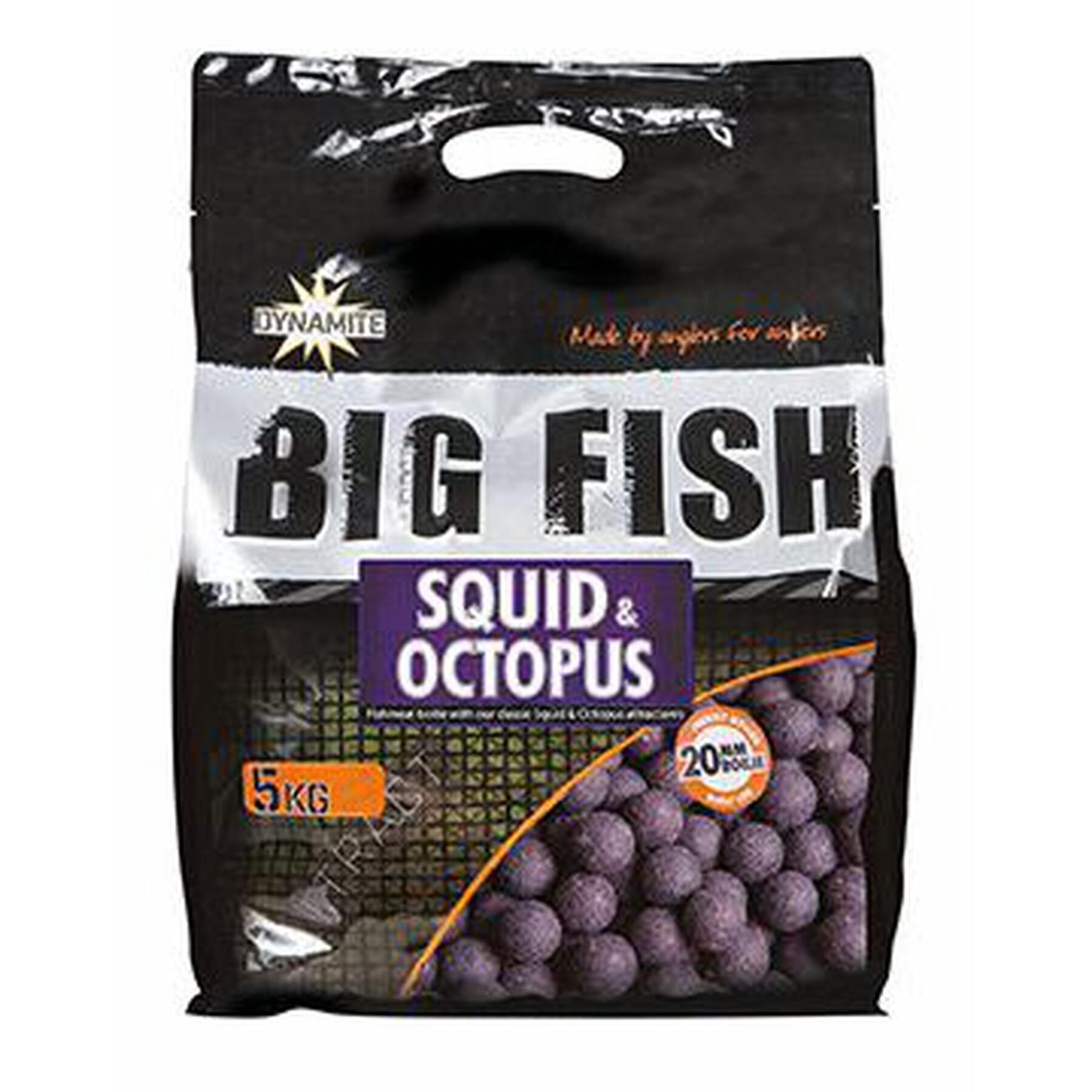 Dichte boilies Dynamite Baits squid & octopus 20 mm 5 kg
