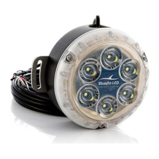 verlichting Bluefin LED Piranha DL12 Dock Light 24V